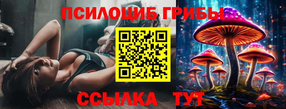 Псилоцибиновые грибы прущие грибы Миллерово
