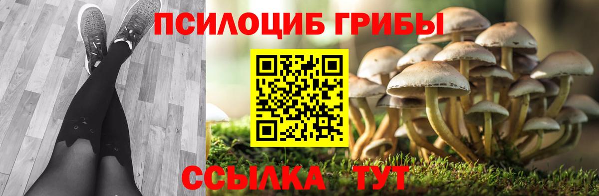 Миллерово  дарнет шоп  Вход с VPN  Псилоцибиновые грибы Magic Shrooms 